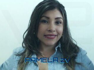 PAMELA_zv