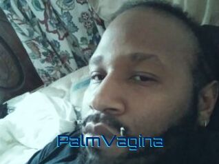 PalmVagina