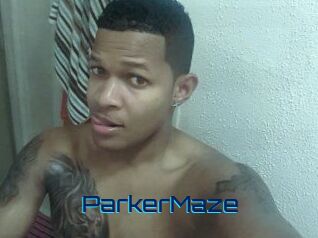 Parker_Maze