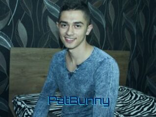 PatBunny