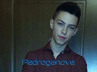Pedrogenove