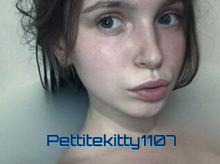 Pettitekitty1107