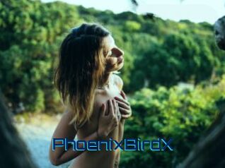 PhoenixBirdX Vidéos de Cul FR