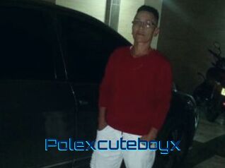 Polexcuteboyx