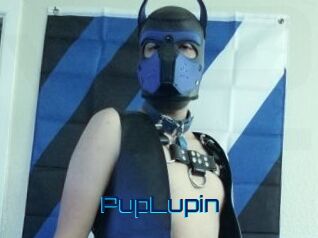 PupLupin Vidéos de Cul FR