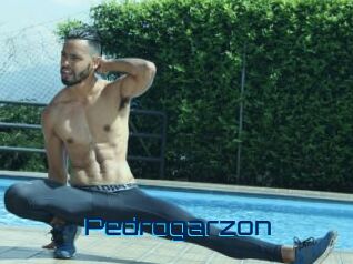 Pedrogarzon
