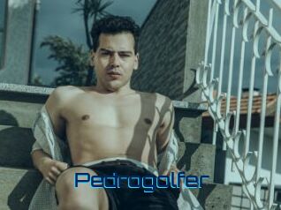 Pedrogolfer