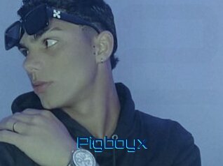 Pigboyx