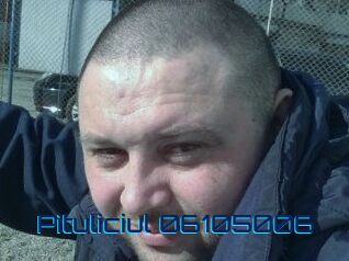 Pituliciul-06105006