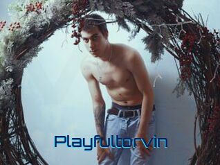 Playfultorvin