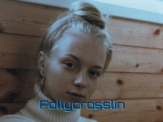 Pollycrosslin