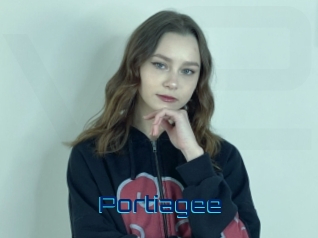 Portiagee
