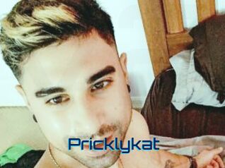Pricklykat