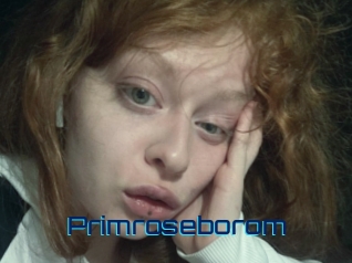 Primroseborom