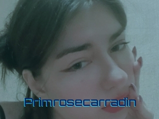 Primrosecarradin