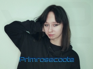 Primrosecoote