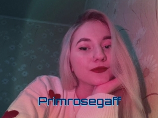primrosegaff Vidéos de Cul FR