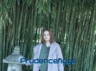 Prudencefigge