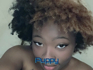 Puppy