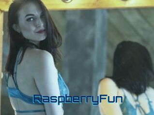 RaspberryFun