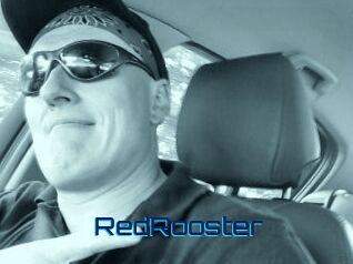 RedRooster