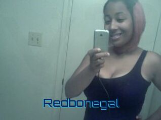 Redbonegal
