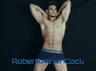 Roberto11inchCock
