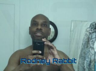Rodney_Rabbit