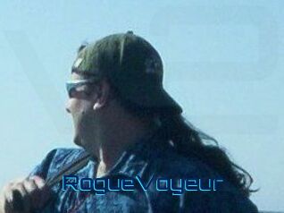 RogueVoyeur