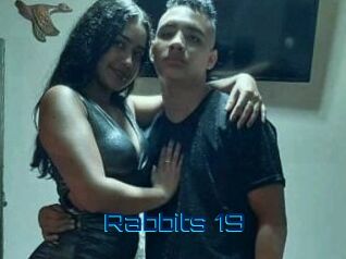 Rabbits_19