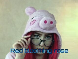 red_blooming_rose Vidéos de Cul FR