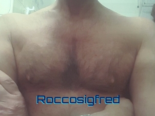 roccosigfred Vidéos de Cul FR