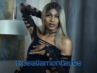 Rosaliamonteros