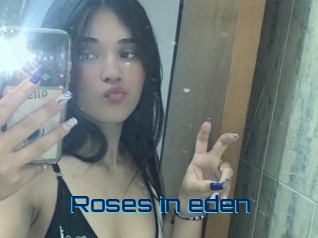 Roses_in_eden