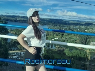 Rosimoreau