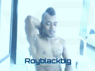 royblackbig Vidéos de Cul FR