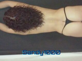 Sandy1000
