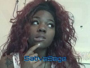 Sativa_Sage