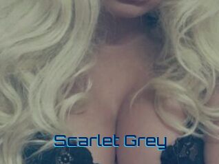 Scarlet_Grey