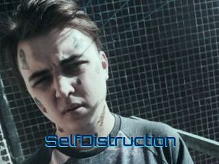 SelfDistruction