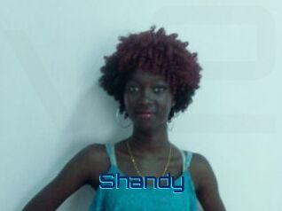 Shandy