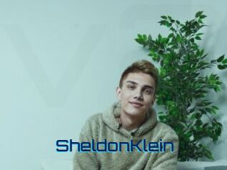 SheldonKlein