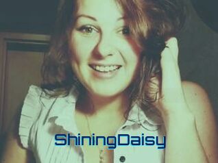ShiningDaisy