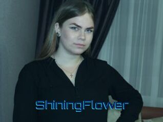 ShiningFlower Vidéos de Cul FR
