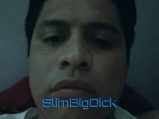 SlimBigDick