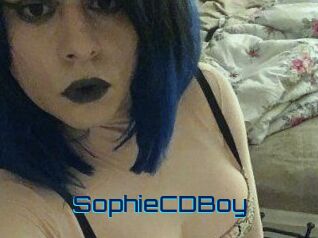 SophieCDBoy Vidéos de Cul FR