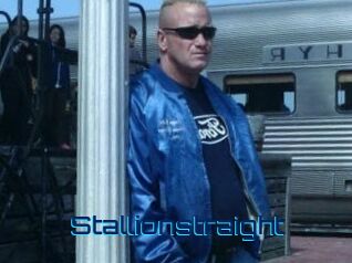 Stallionstraight