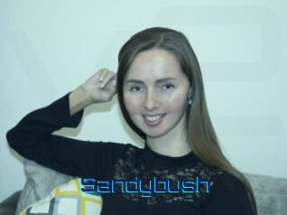 Sandybush