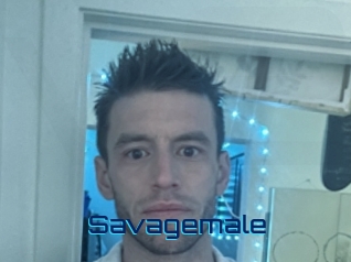 savagemale Vidéos de Cul FR