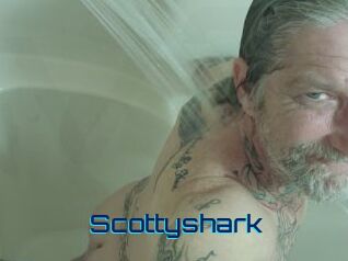 Scottyshark